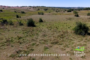 PASSEIO BAIXO E SAIBRE.00_02_15_29.Quadro013_b1e00cf02616f62821691e35bd10421b75912724.jpg